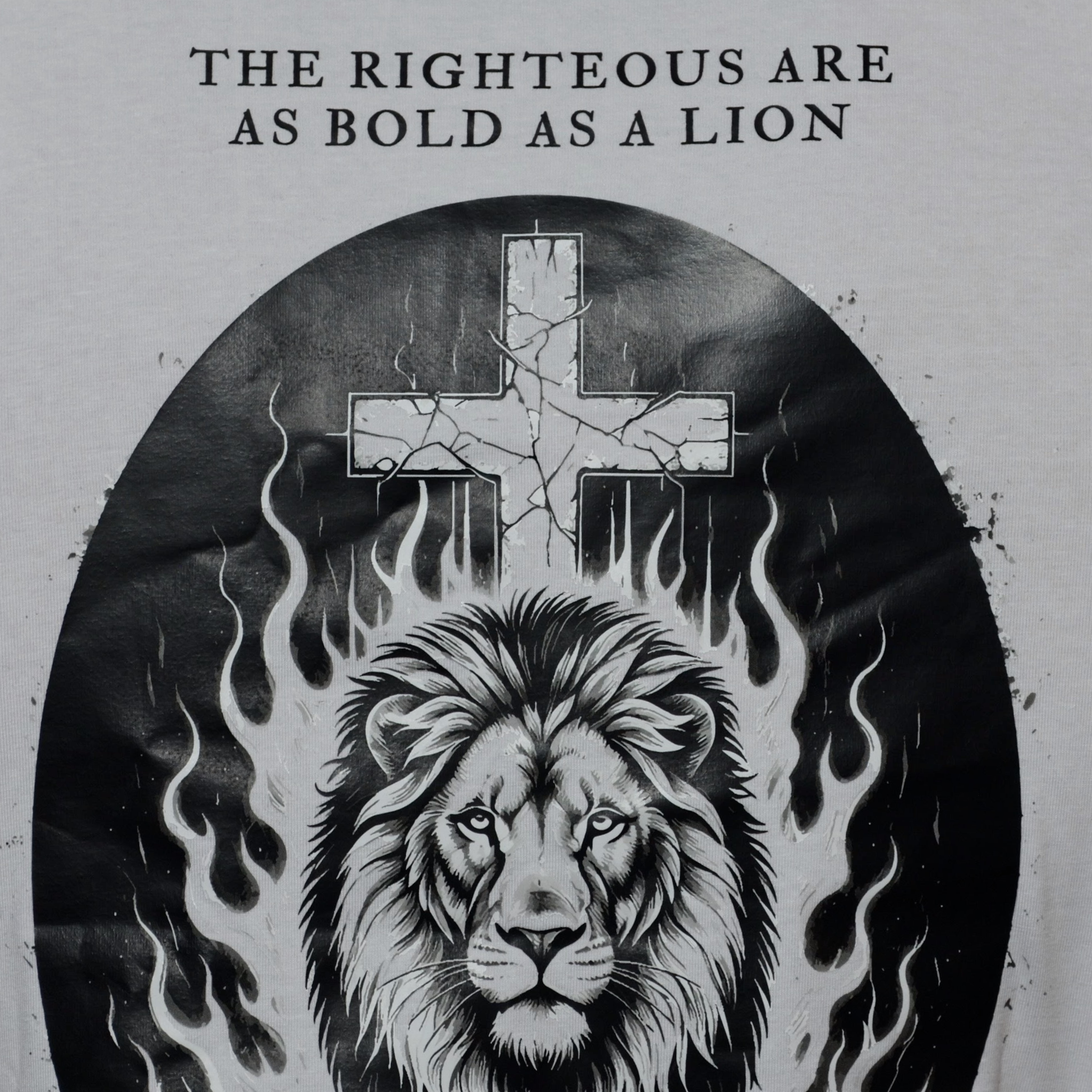 Lion Oversized Graphic Tee // Heavyweight Organic Cotton