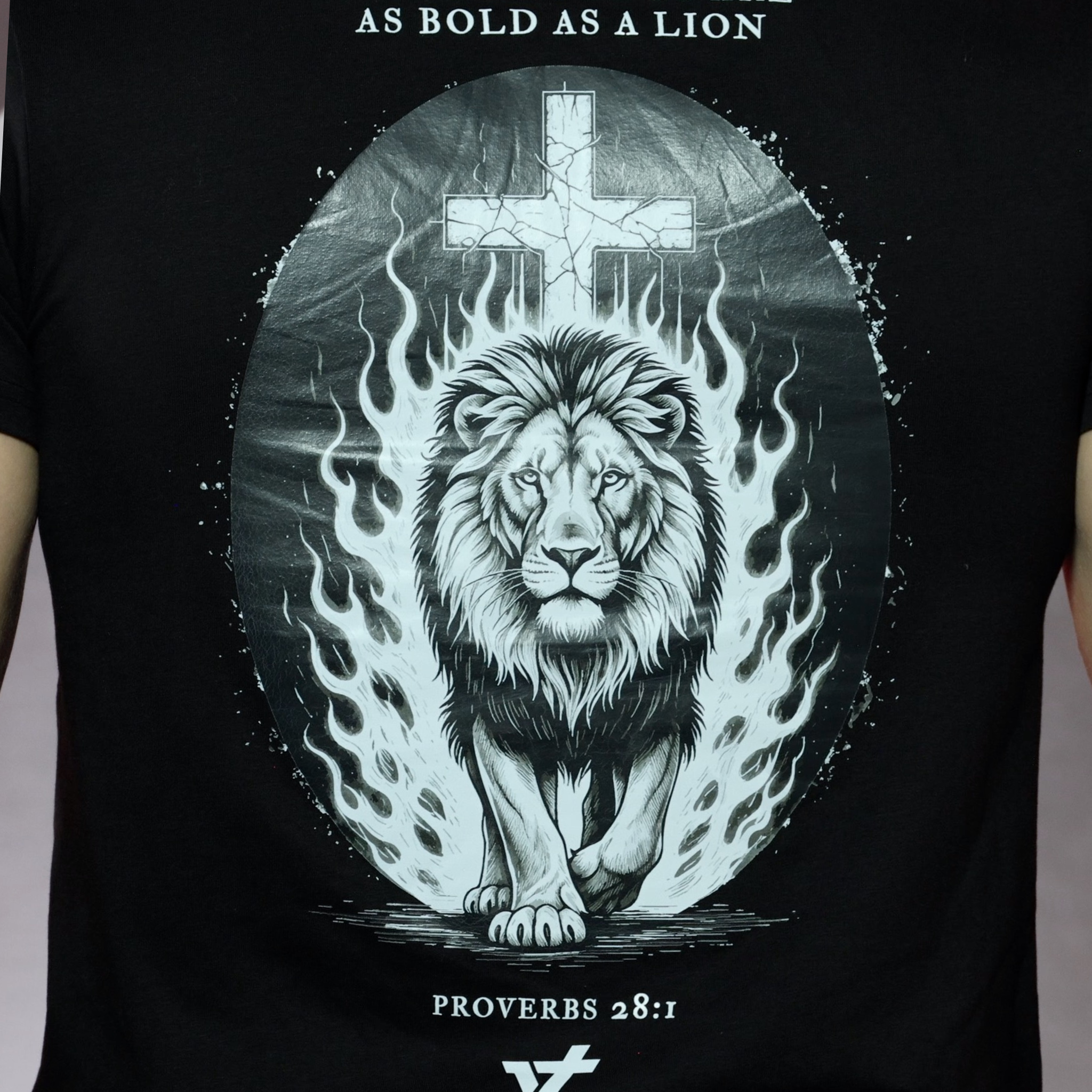 Lion Oversized Graphic Tee // Heavyweight Organic Cotton