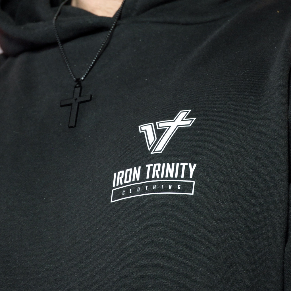Lion Oversized Graphic Hoodie // Heavyweight Premium Unisex